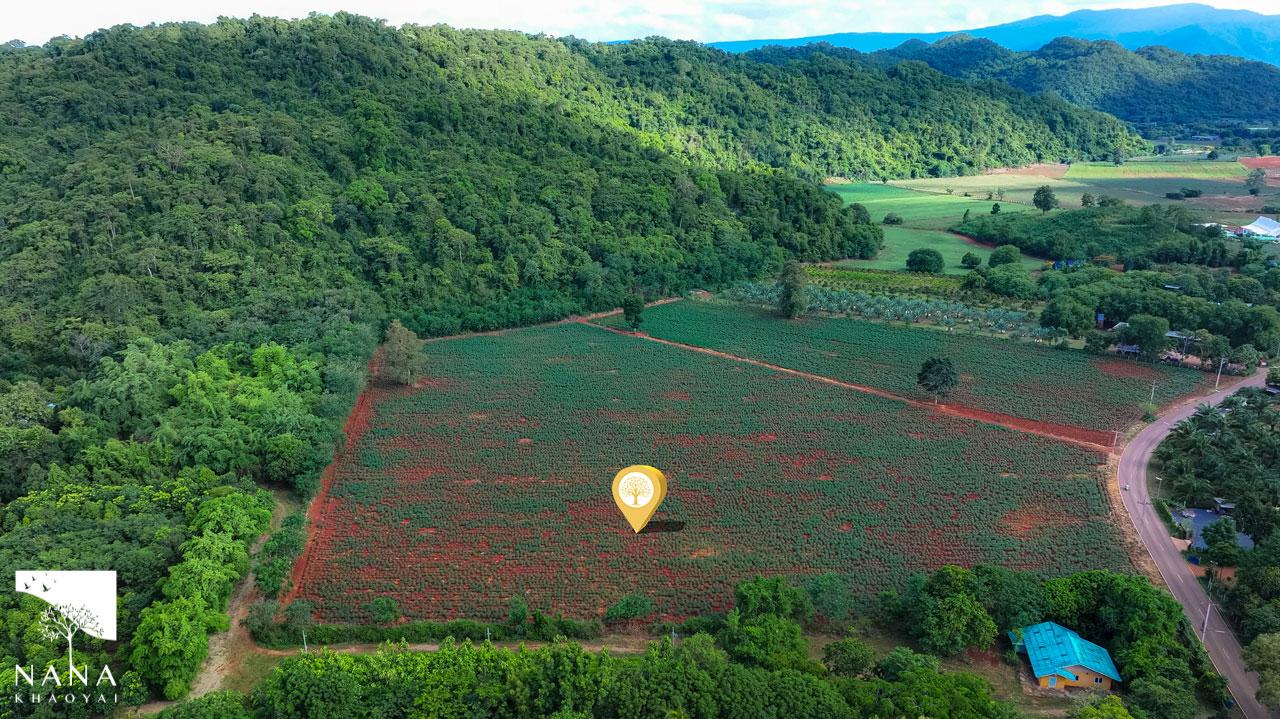 ที่ดิน “ทำเลทอง” ขนงพระ–เขาใหญ่ 10 ไร่ เพียง 2.5 ลบ./ไร่  รายล้อมด้วยธรรมชาติและโครงการพูลวิลล่าชื่อดัง